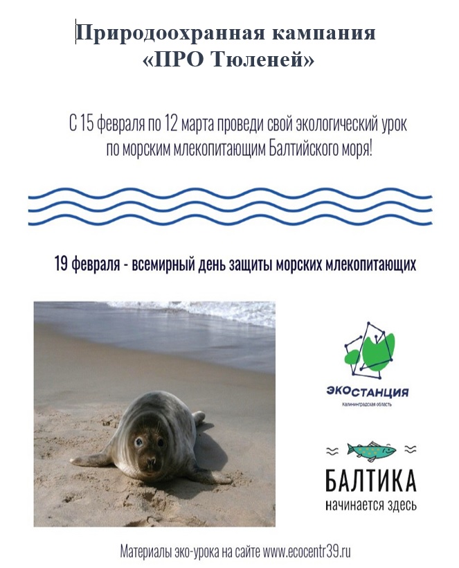 Природоохранная компания "ПРО Тюленей" 1